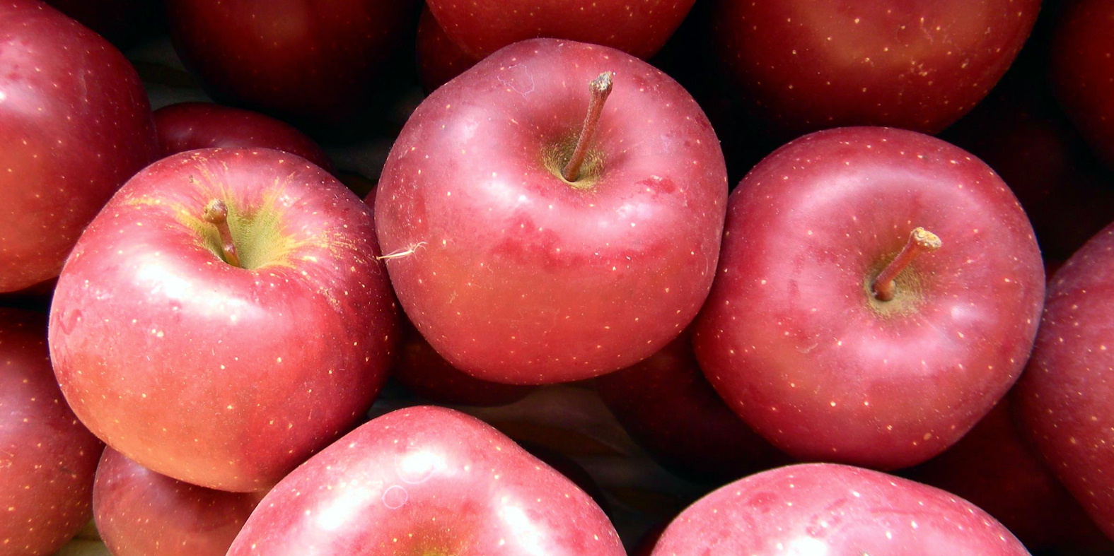 リンゴのおすすめ保存方法