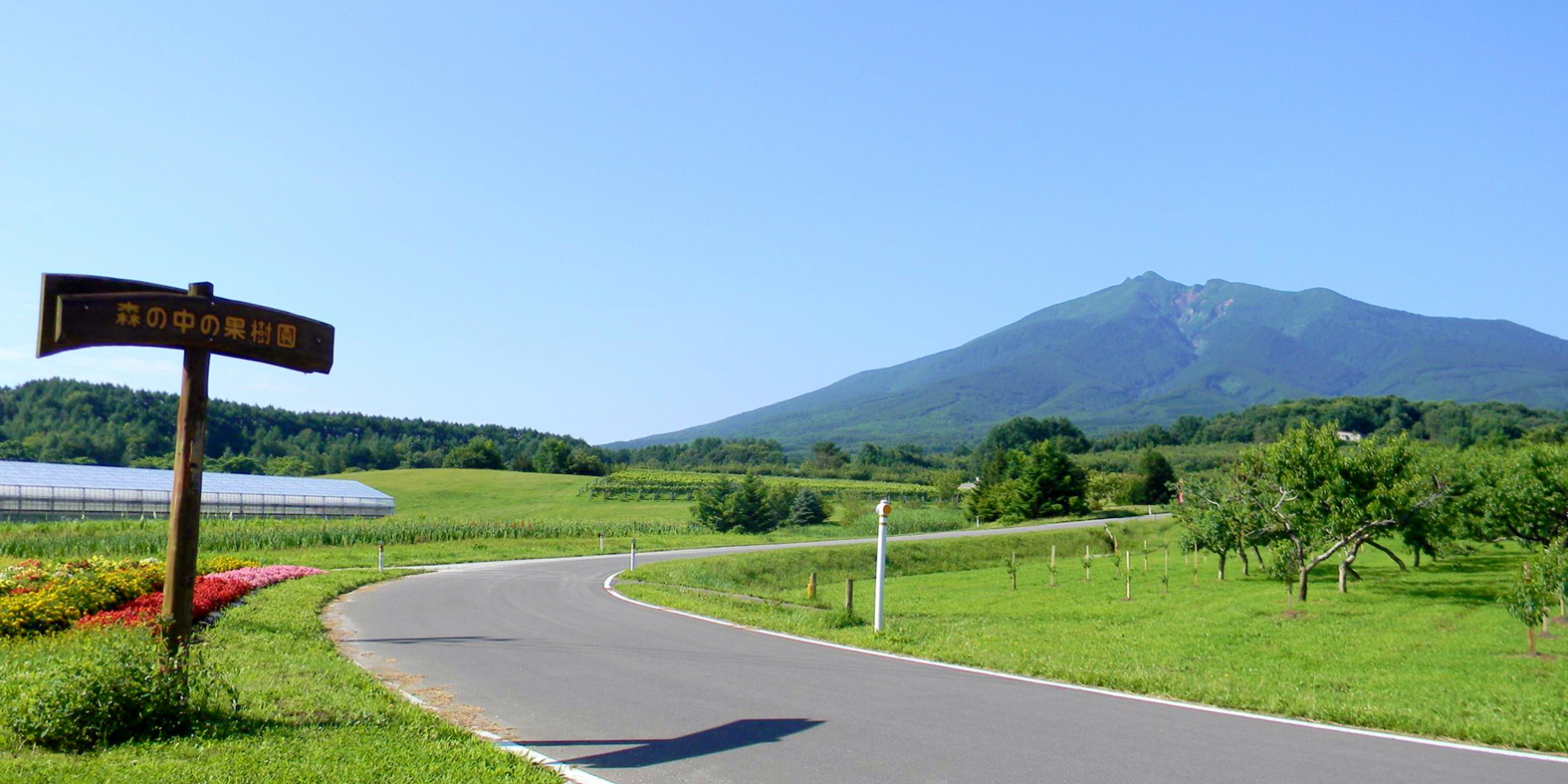 森の中の果樹園へ行こう