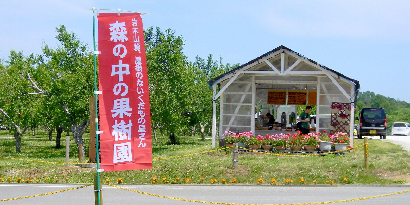 果物狩り？　それとも　果物のお買い物？