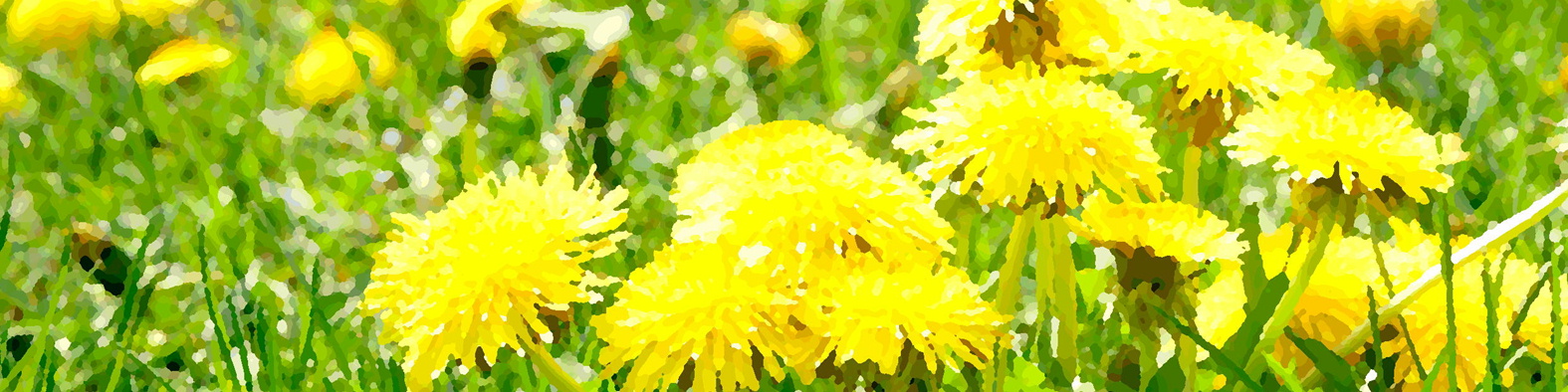 森果樹印のくだもの日記★２０２６春