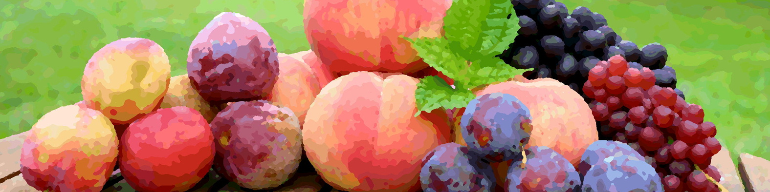 営業時間のご案内　８月