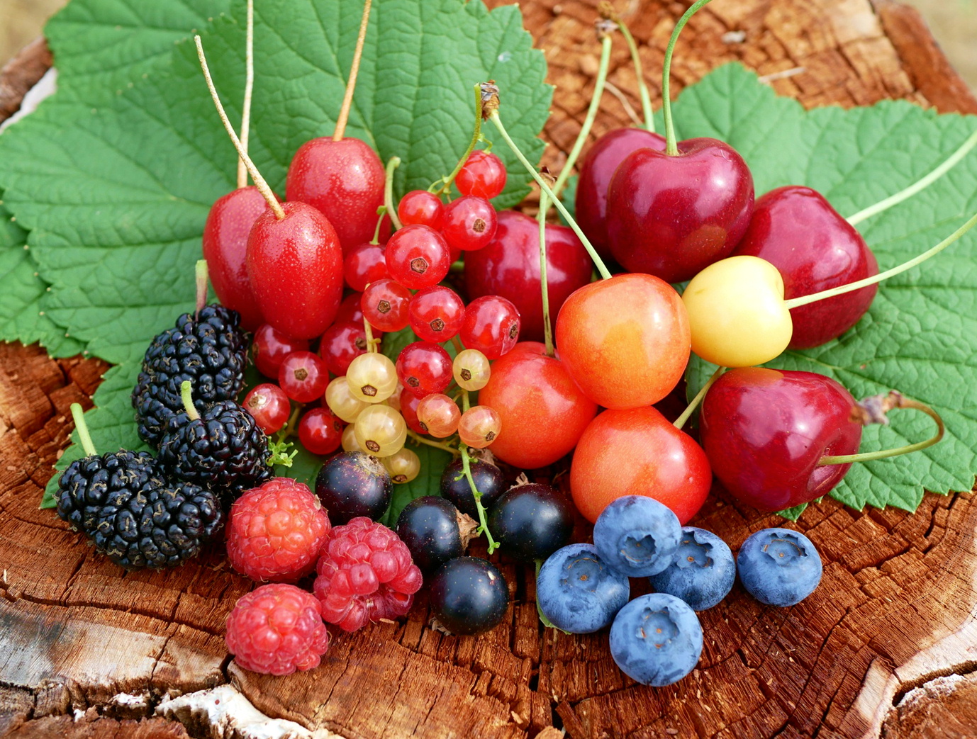 くだもの食べ頃カレンダー