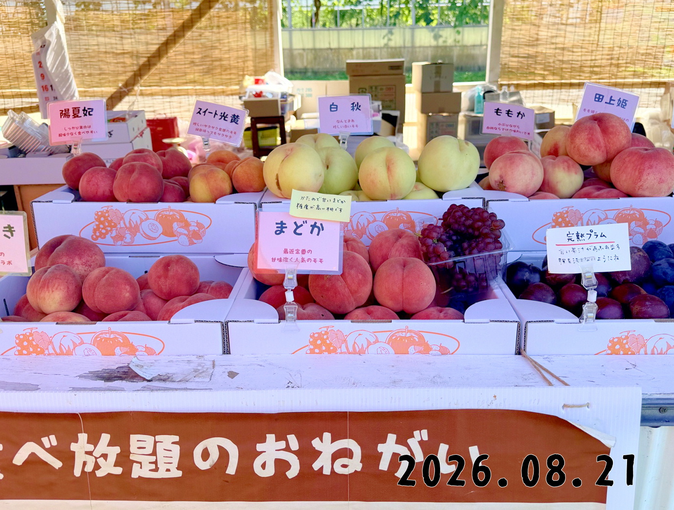 森の中の果樹園のモモ