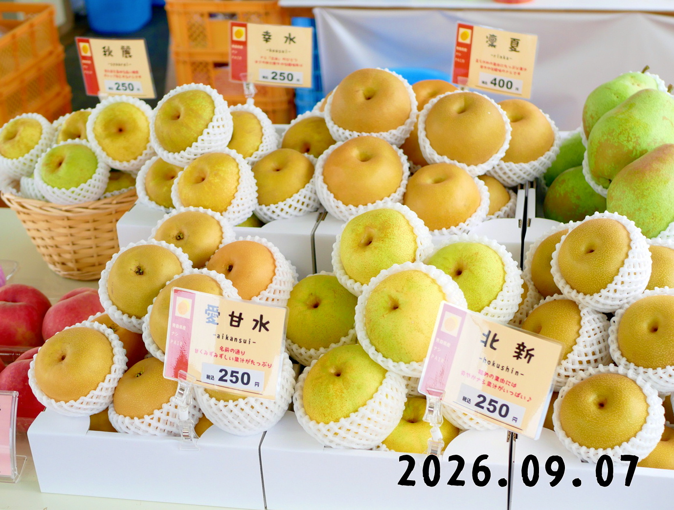 森の中の果樹園のナシ