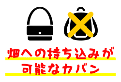 くだもの狩り開催中の畑への持ち込みが可能なカバンについて