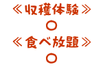収穫体験 〇 食べ放題 〇