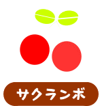 サクランボ