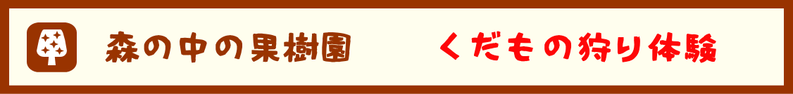 森の中の果樹園　くだもの狩り体験