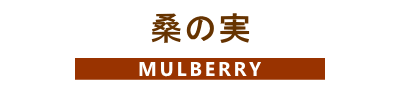 森の中の果樹園の桑の実