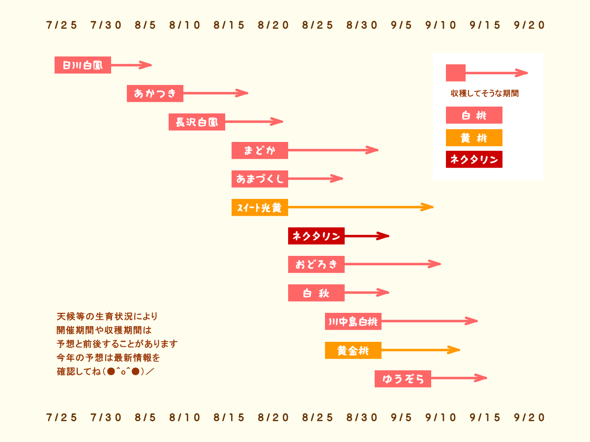 森の中の果樹園のモモ 収穫予想