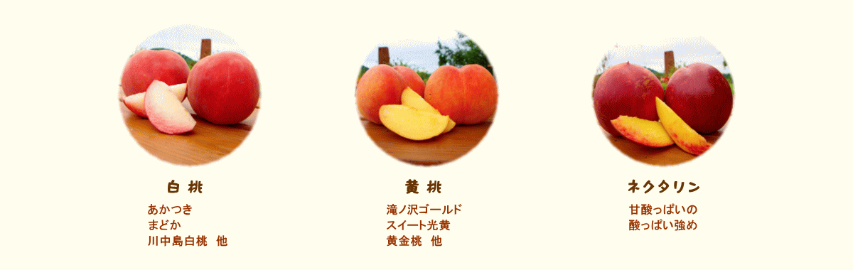 森の中の果樹園のモモ 品種紹介