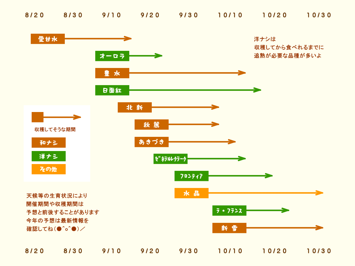 森の中の果樹園のナシ　収穫予想