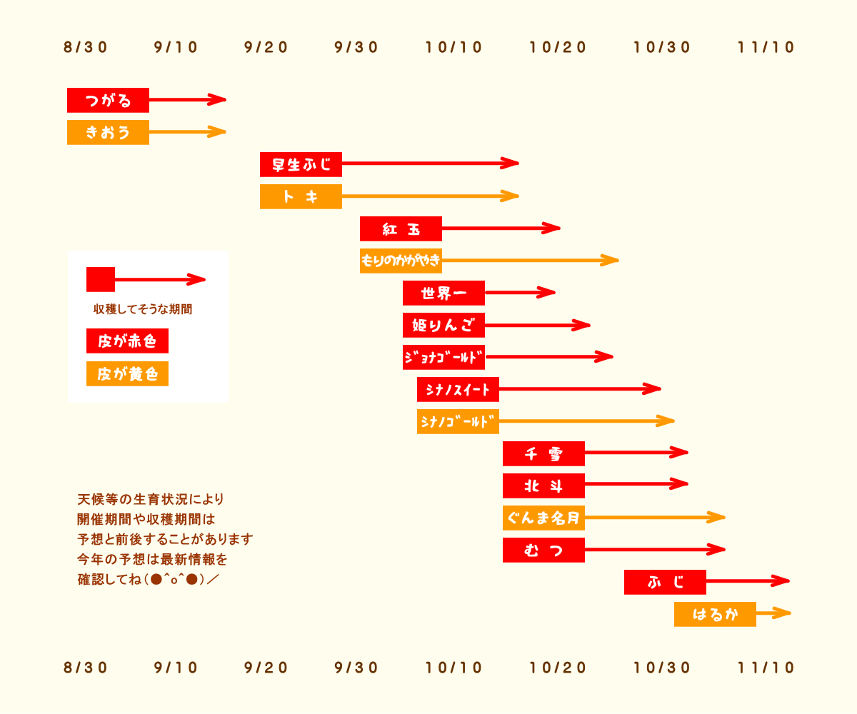 森の中の果樹園のリンゴ　収穫予想