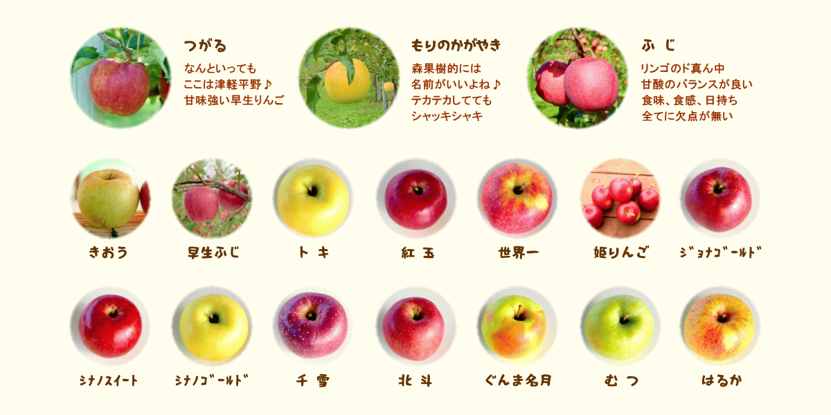 森の中の果樹園のリンゴ　品種紹介