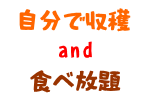 自分で収穫＆食べ放題