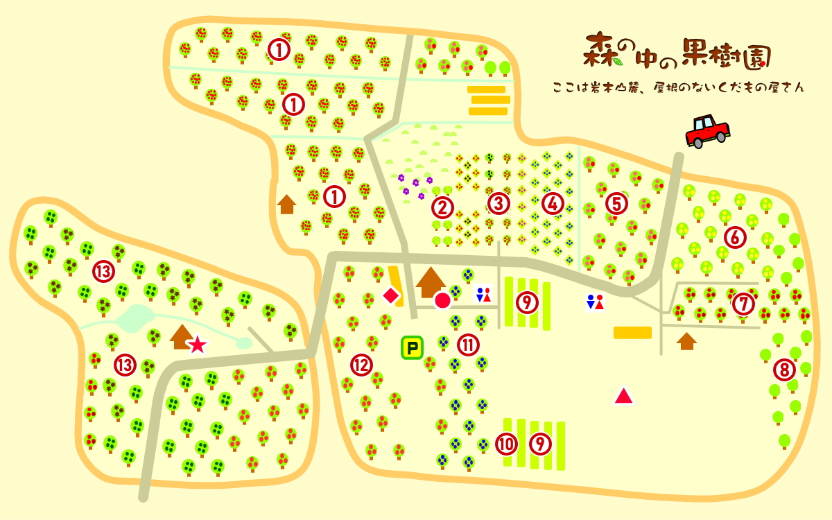 森の中の果樹園　園内マップ