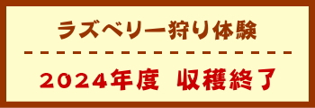 ラズベリー狩り体験　2024年度　収穫終了