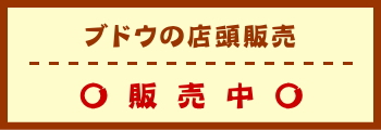 ブドウの店頭販売　販売中