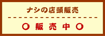 ナシの店頭販売　販売中