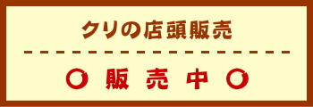 クリの店頭販売　販売中