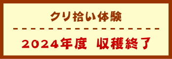 栗拾い体験　収穫終了